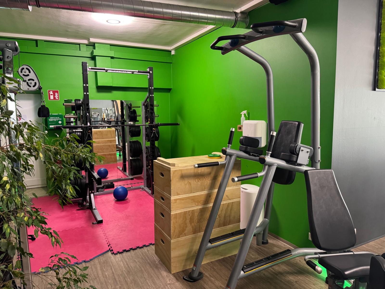 Functional-Bereich mit Rack und Plyo-Boxen im Fitnessstudio – fit+ Steinach