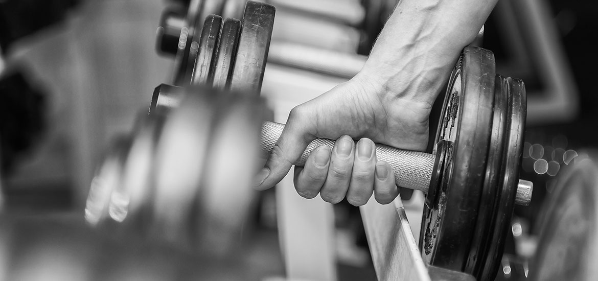 FitplusHantel-2 FitplusHantel-2